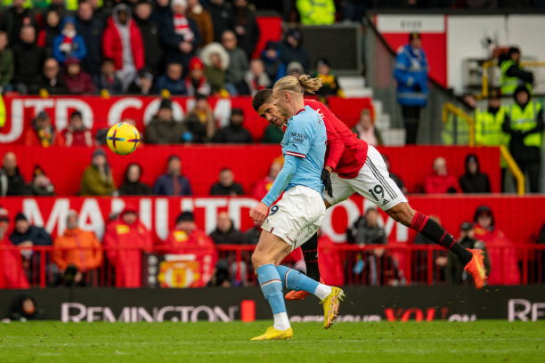 雄狮的重要 雄狮的重要