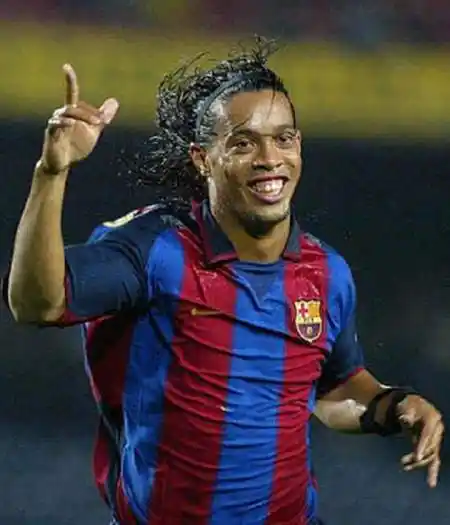 森纳自身的 森纳自身的